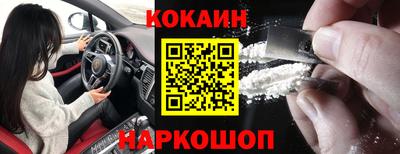 спайс Кингисепп