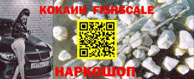 спайс Кингисепп