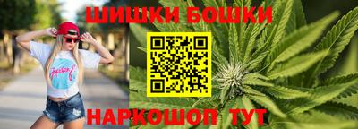 спайс Кингисепп