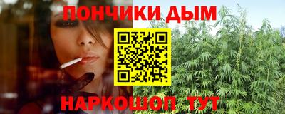 спайс Кингисепп