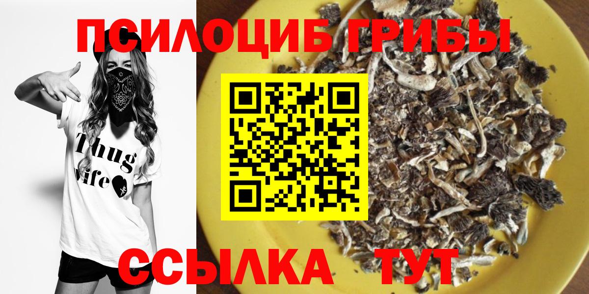 Псилоцибиновые грибы GOLDEN TEACHER Кудымкар