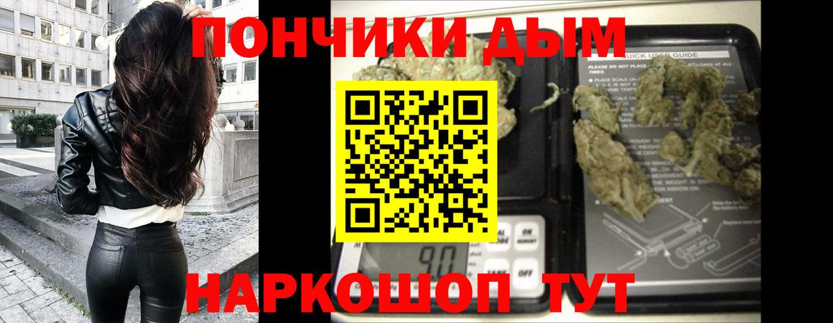 Шишки марихуана план  Вход с VPN  Бошки Шишки семена  Кудымкар 